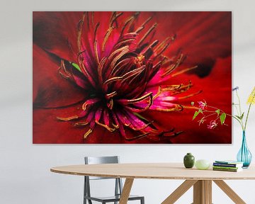 Clematis