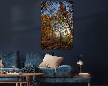 autumn colours
