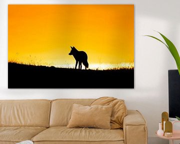 Silhouet van de wildernis