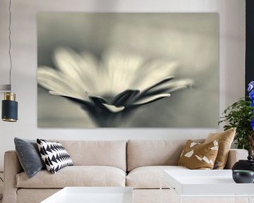 Solo bloem in zwart/wit von Ellen Driesse