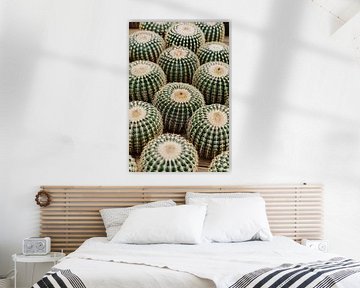 Veel ronde cactussen in close-up van Imperial Art House