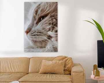 Close-up portret van een kat van Imperial Art House