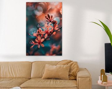 Oranje bloemen met bokeh van Imperial Art House