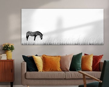 Zebra op een weiland van Frank Heinz