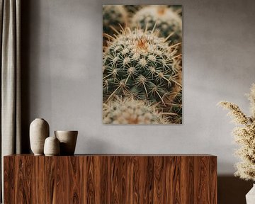 Close-up van een groene cactus van Imperial Art House