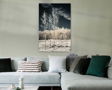 Mystiek surrealistisch infrarood herfst landschap met dramatisch donkere lucht.