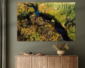 Herbstlandschaft aus der Luft betrachtet
