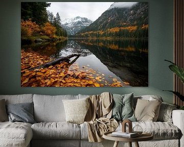 Landscape in the light