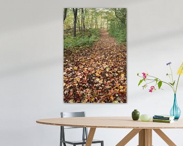 A trail in autumn by Claude Laprise