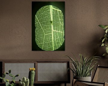see-through by Imperial Art House