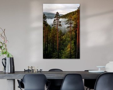 La magie du paysage