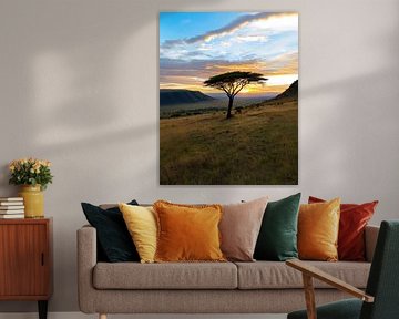 L'immensité de la nature