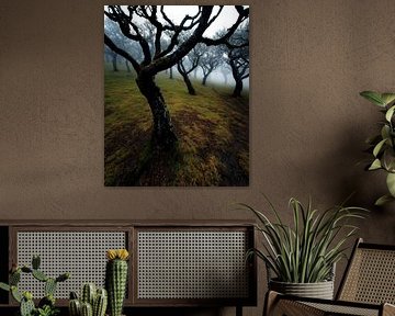 Un paysage en équilibre