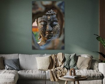 see-through by Imperial Art House