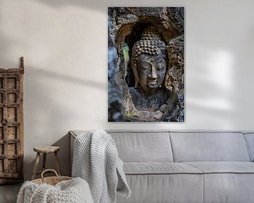 doorkijk van Imperial Art House