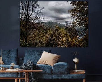 Autumnal Forest near Gräfentahl (Thuringia) - Mystical Wall Decoration for a Natural Interior by Elianne van Turennout