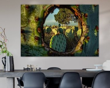 doorkijk van Imperial Art House