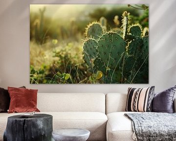 Close-up of cactus field at sunrise by Imperial Art House