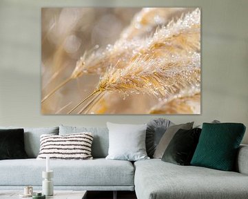 Dew-covered ears of wheat in morning light by Imperial Art House