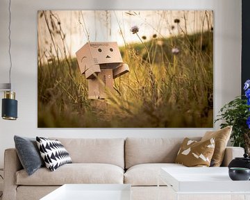 Danbo ziet een bloem sur .  cathenco