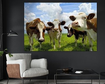 Summertime Gossip Four Frisian Cows on a Lush Meadow