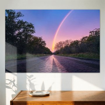 Arc-en-ciel au lever du soleil à Meijendel