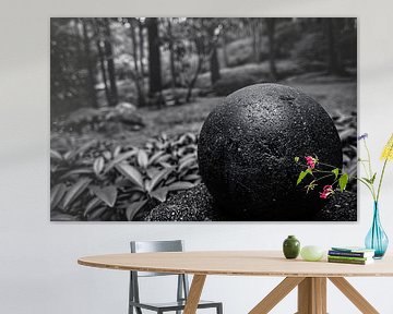Black orb in a blurred forest landscape