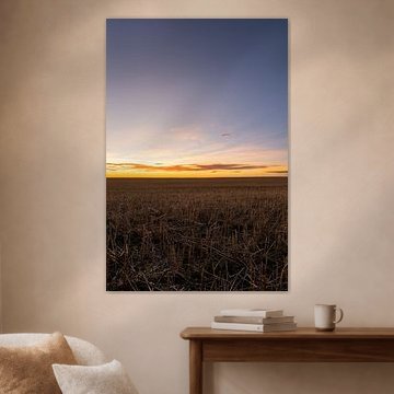 Getreidestoppeln in der untergehenden Sonne