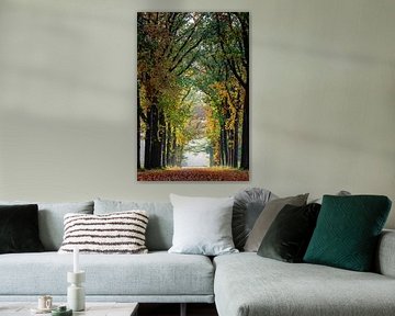 Herbst im Mastbos von Breda von I Love Breda