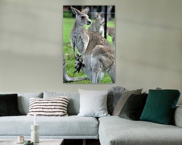 Moederlijke tederheid in Australië van Frank Photos