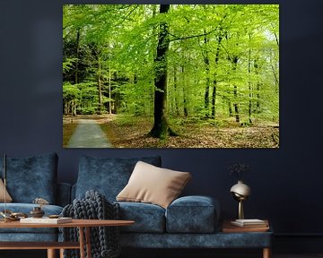 Beukenbos in de lente van Corinne Welp