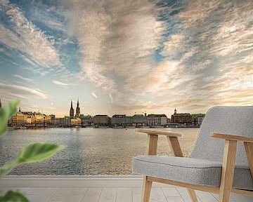 Alster in the golden light by Dirk Thoms