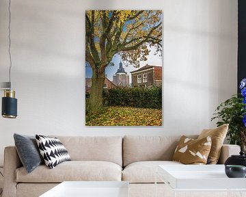 Doorkijk in herfstkleuren op de Enkhuizer Dromedaris van Harrie Muis