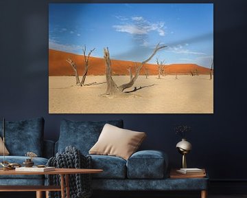 Sossusvlei, Namib Deser, Namibië
