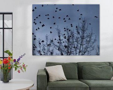 Dutch Birds von Frank Vincenten