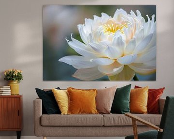 Elegante close-up van bloeiende witte lotus van Imperial Art House