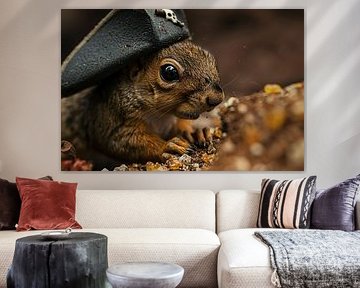 Sharp close-up of a pirate squirrel