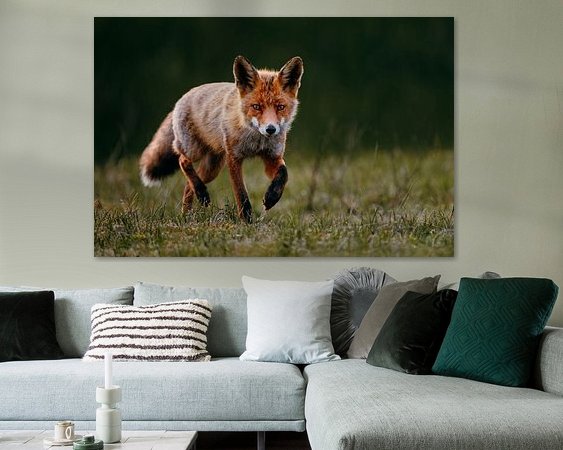 Aperçu de la chambre