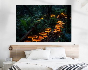 Glowing paddenstoelen in mystiek boslandschap van Imperial Art House