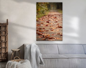 Herfstbladeren op een fietspad van Marloes ten Brinke