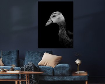 Created by Nature by GREY