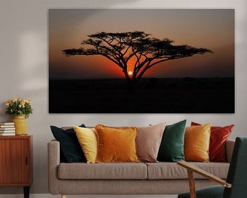 Acacia au lever du soleil dans le Serengeti sur Aagje de Jong