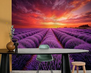 Lavendelvelden bij zonsondergang van Art & Soul Creations