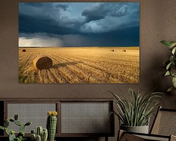 Threatening sky over wheat field by Art & Soul Creations