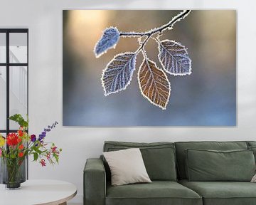 Frozen leaves with ice crystals by Art & Soul Creations