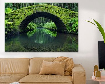 Mosgroene brug in het bos