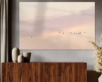 Geese and pastel colours at sunset by Ronald Buitendijk Fotografie