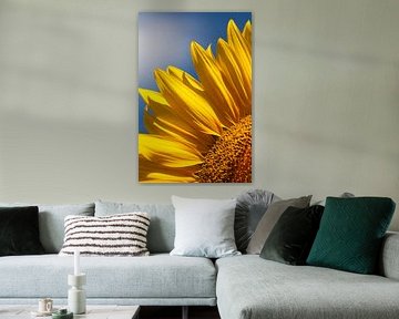 Sunflower, sky and cloud by Eric van Duijn