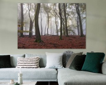 Mysterieus beukenbos