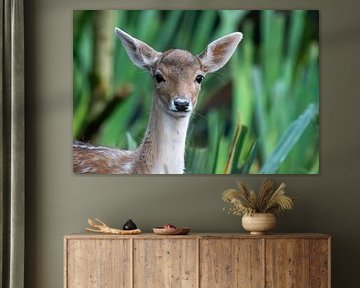 Deer in green